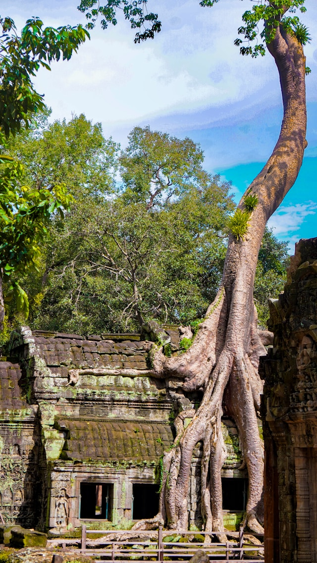 Ta Prohm