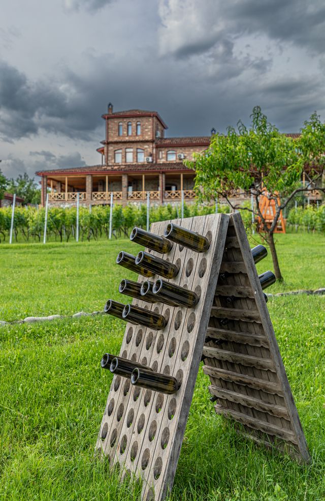 Kakheti's vineyards