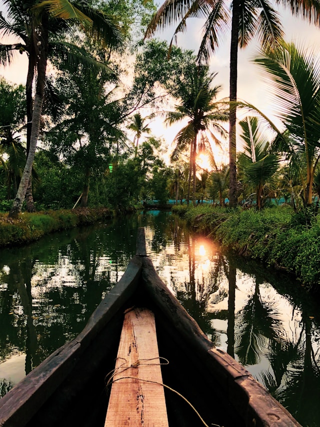 Kerala's backwaters