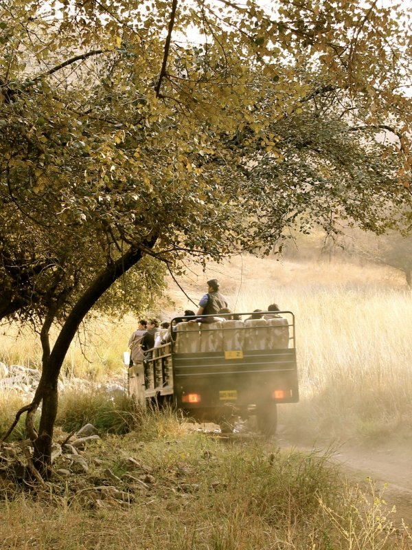 Ranthambore National Park