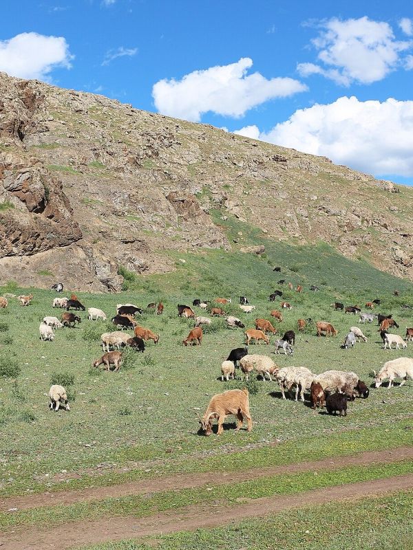 Orkhon Valley